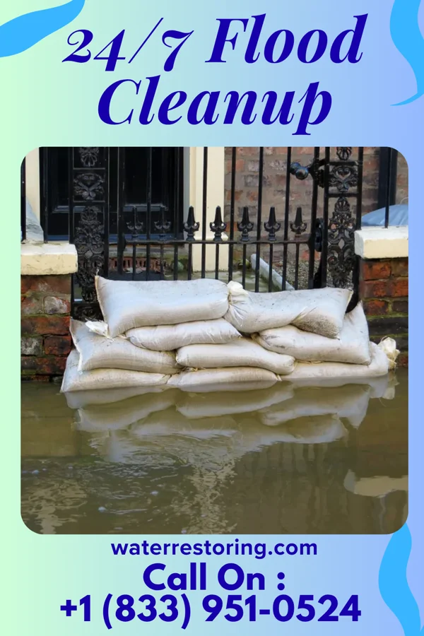 24/7 Flood Cleanup in Odum, GA