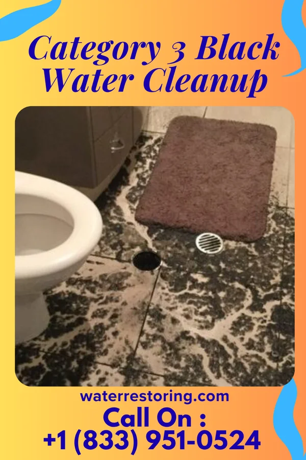 Category 3 Black Water Cleanup in Odum, GA