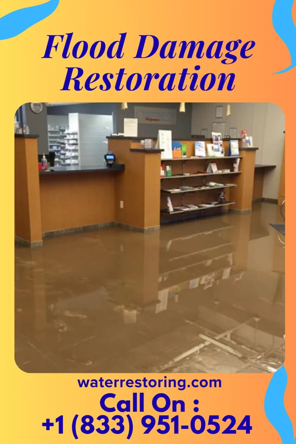 Flood Damage Restoration in Odum, GA