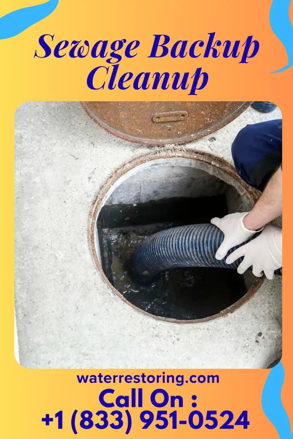 Sewage Backup Cleanup in Odum, GA