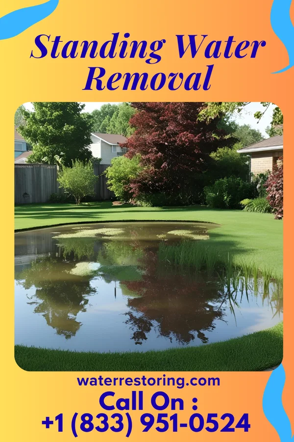Standing Water Removal in Odum, GA